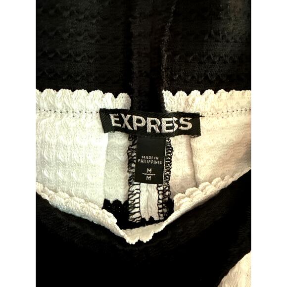 EXPRESS A-LINE SKIRT WHIMSYGOTH Size Medium - Picture 3 of 6